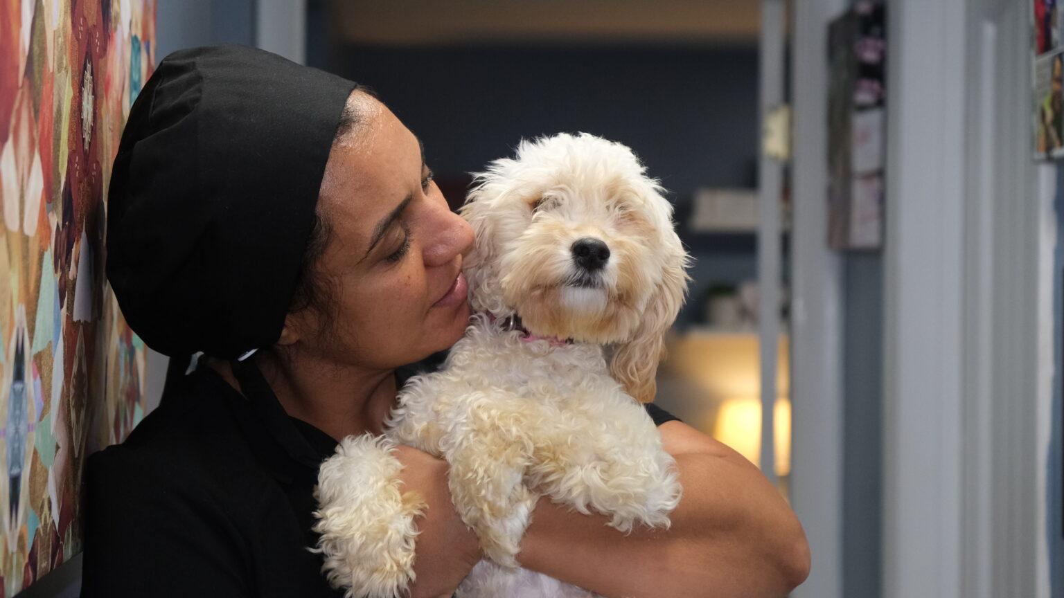 Vaccinations Nashville Animal House