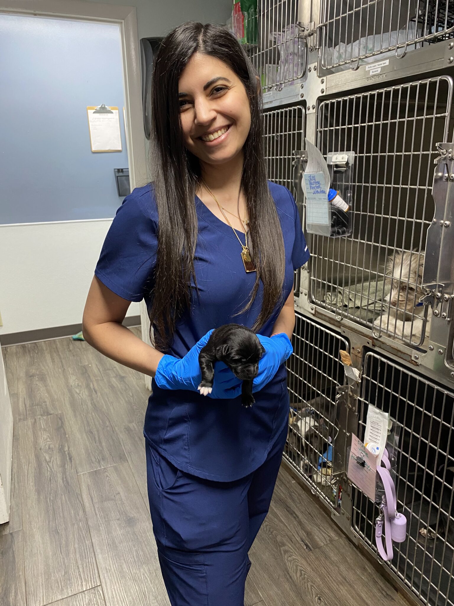 Resources Nashville Animal House