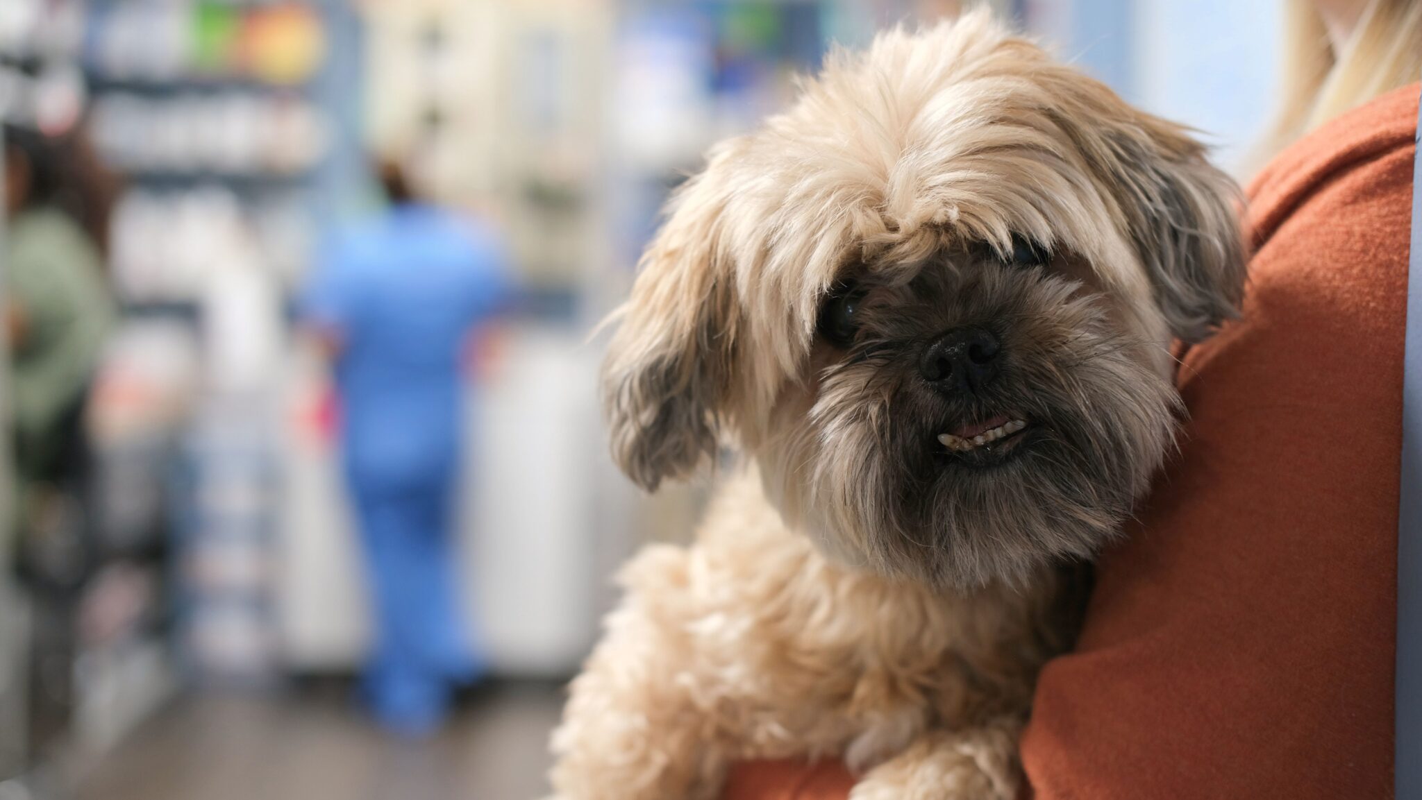 New Clients Nashville Animal House